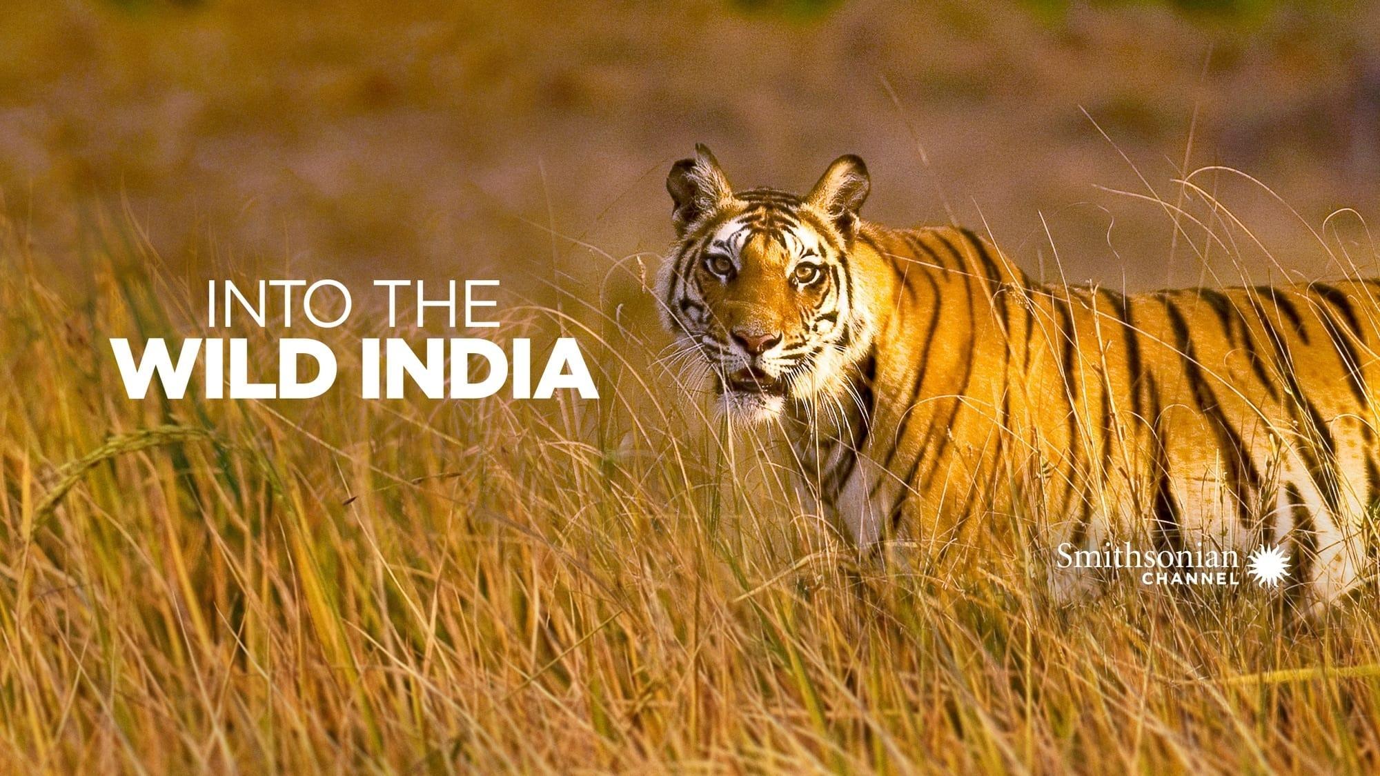 Into the Wild: India