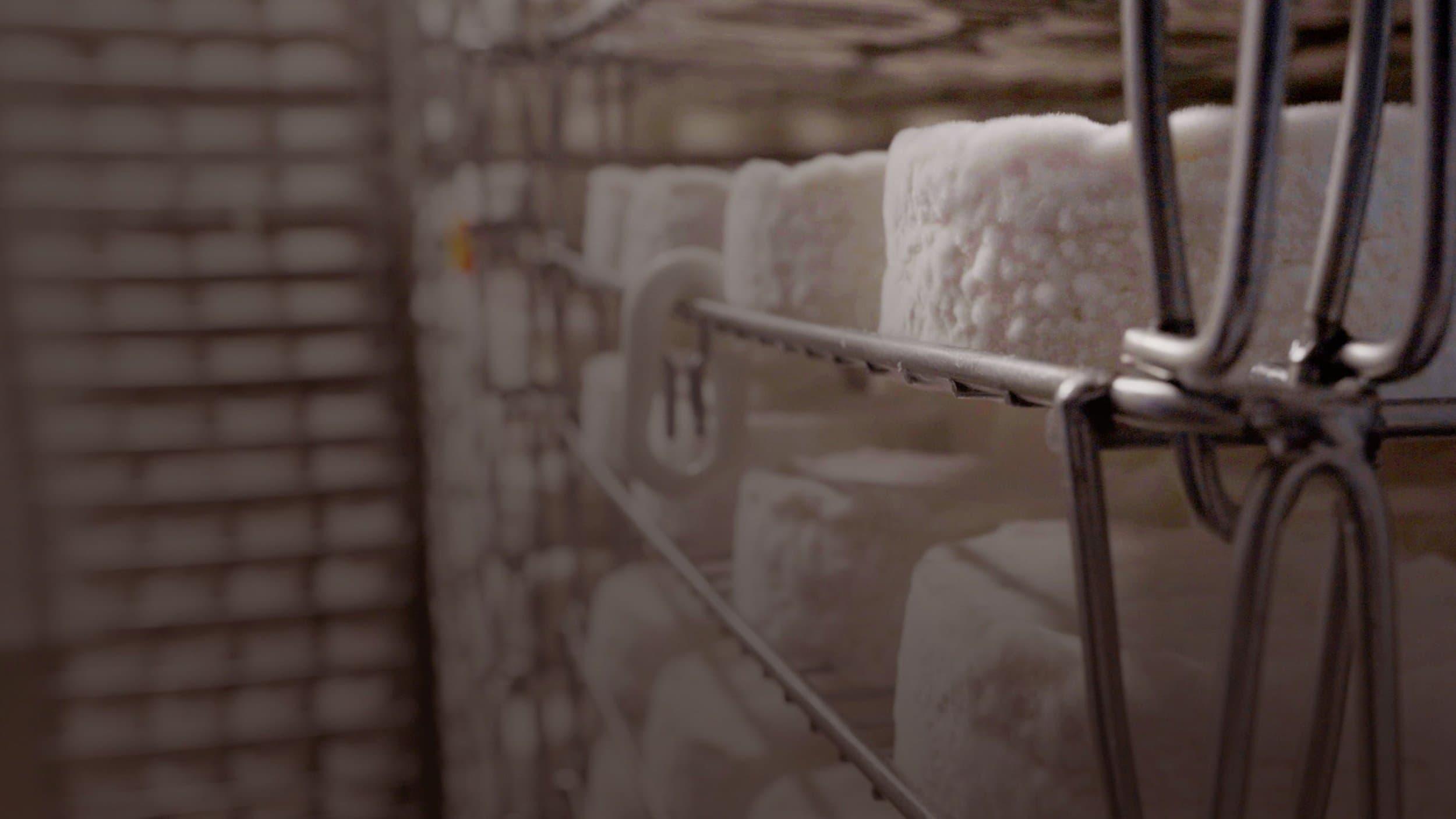 Le camembert nous ouvre sa boîte