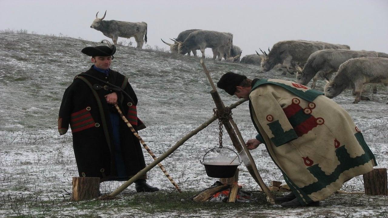 Wild Hungary – A Water Wonderland