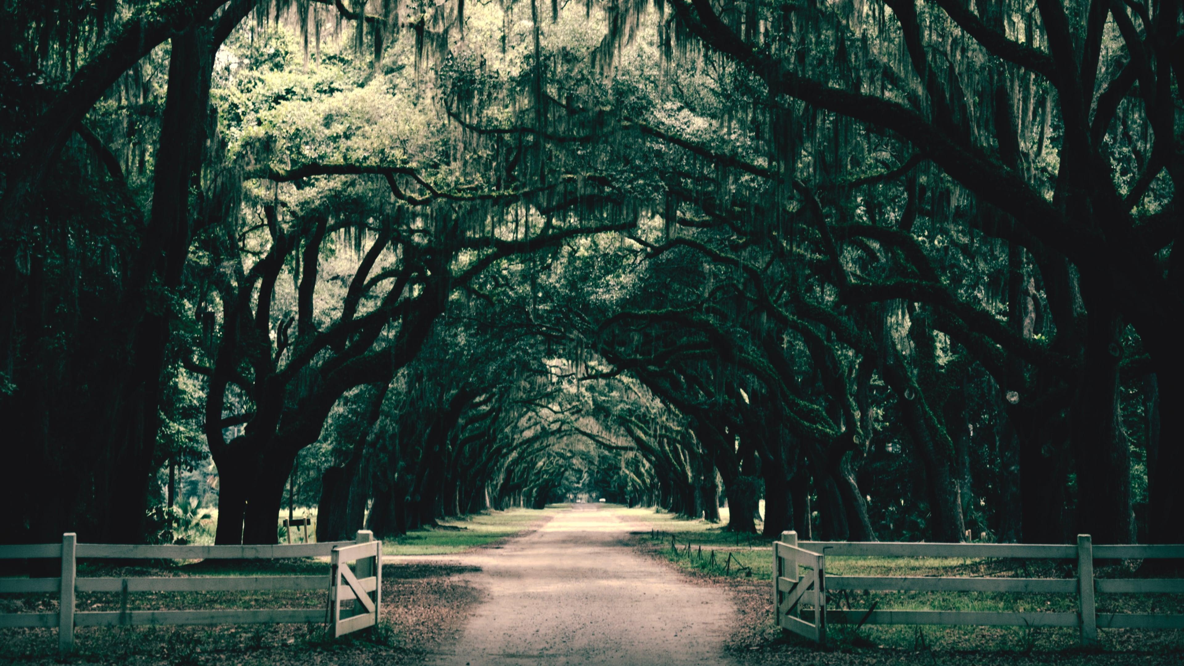 Southern Gothic