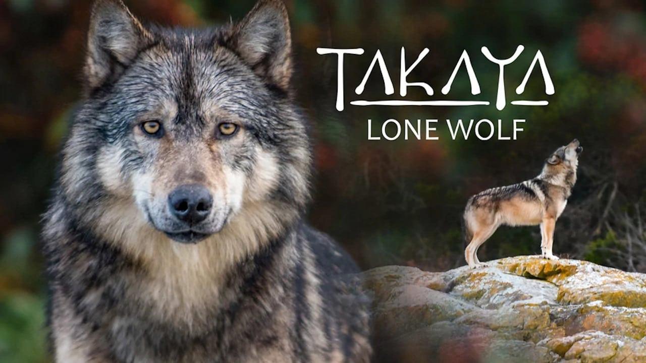 Takaya, Lone Wolf