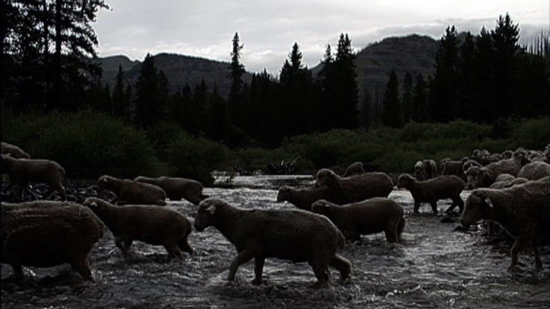 Hell Roaring Creek