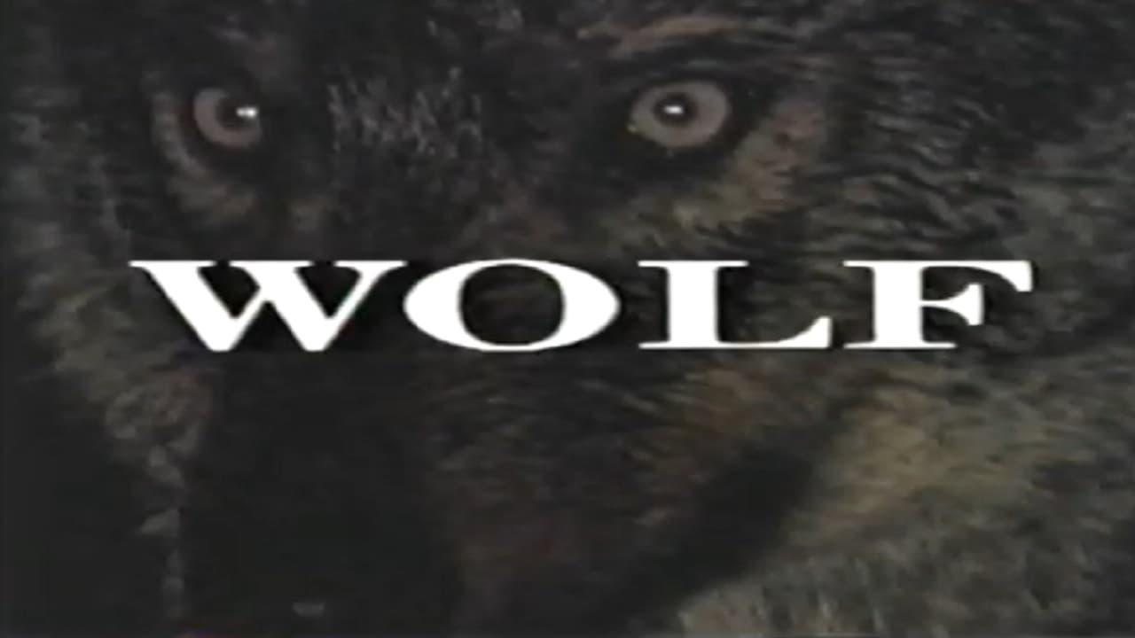 Predators of the Wild: Wolf