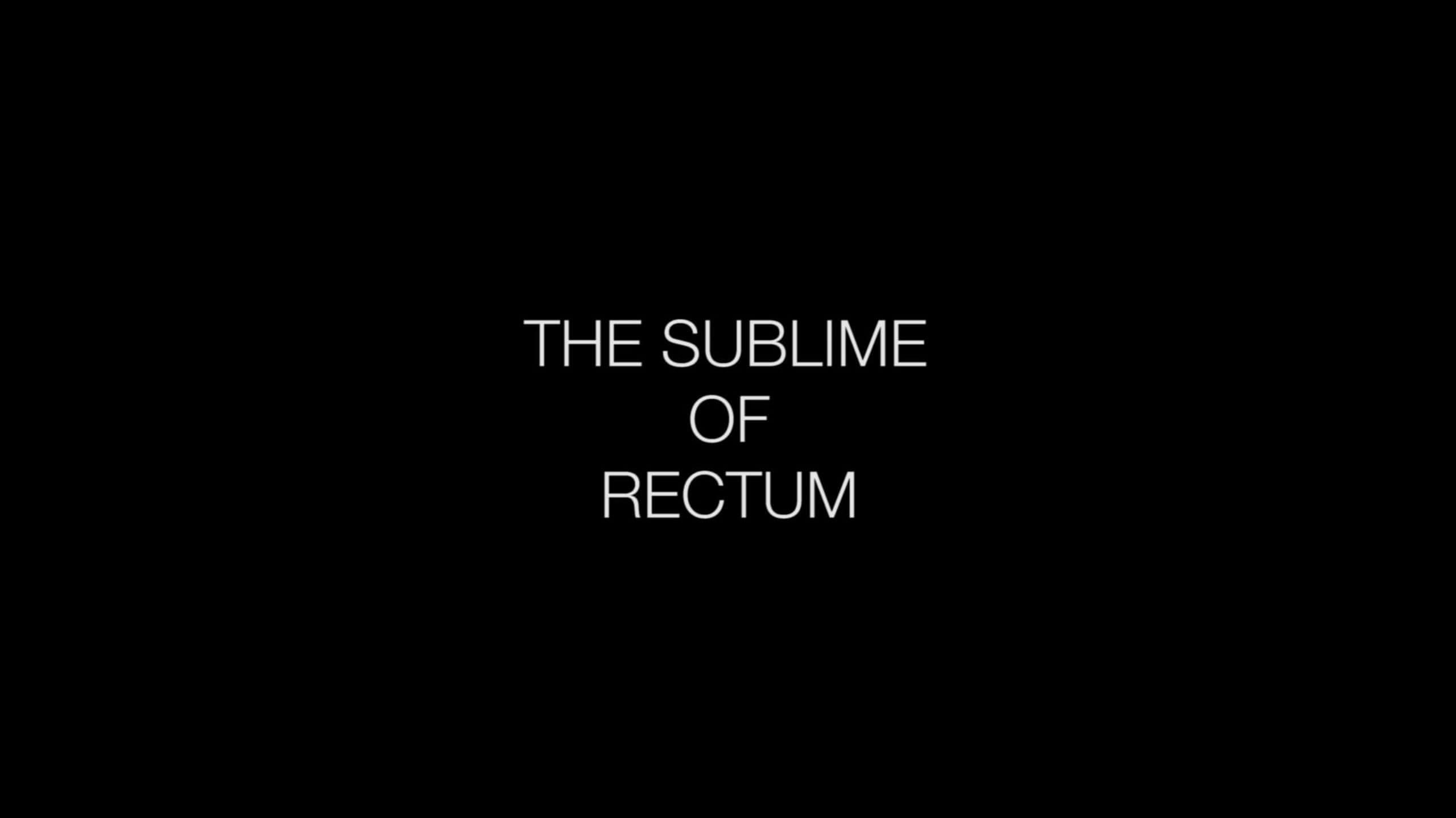 The Sublime of Rectum