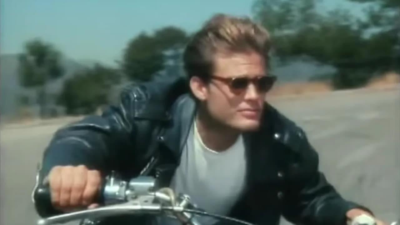 James Dean: Race with Destiny