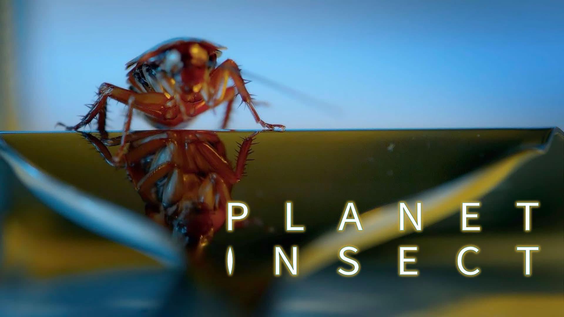 Planet Insect