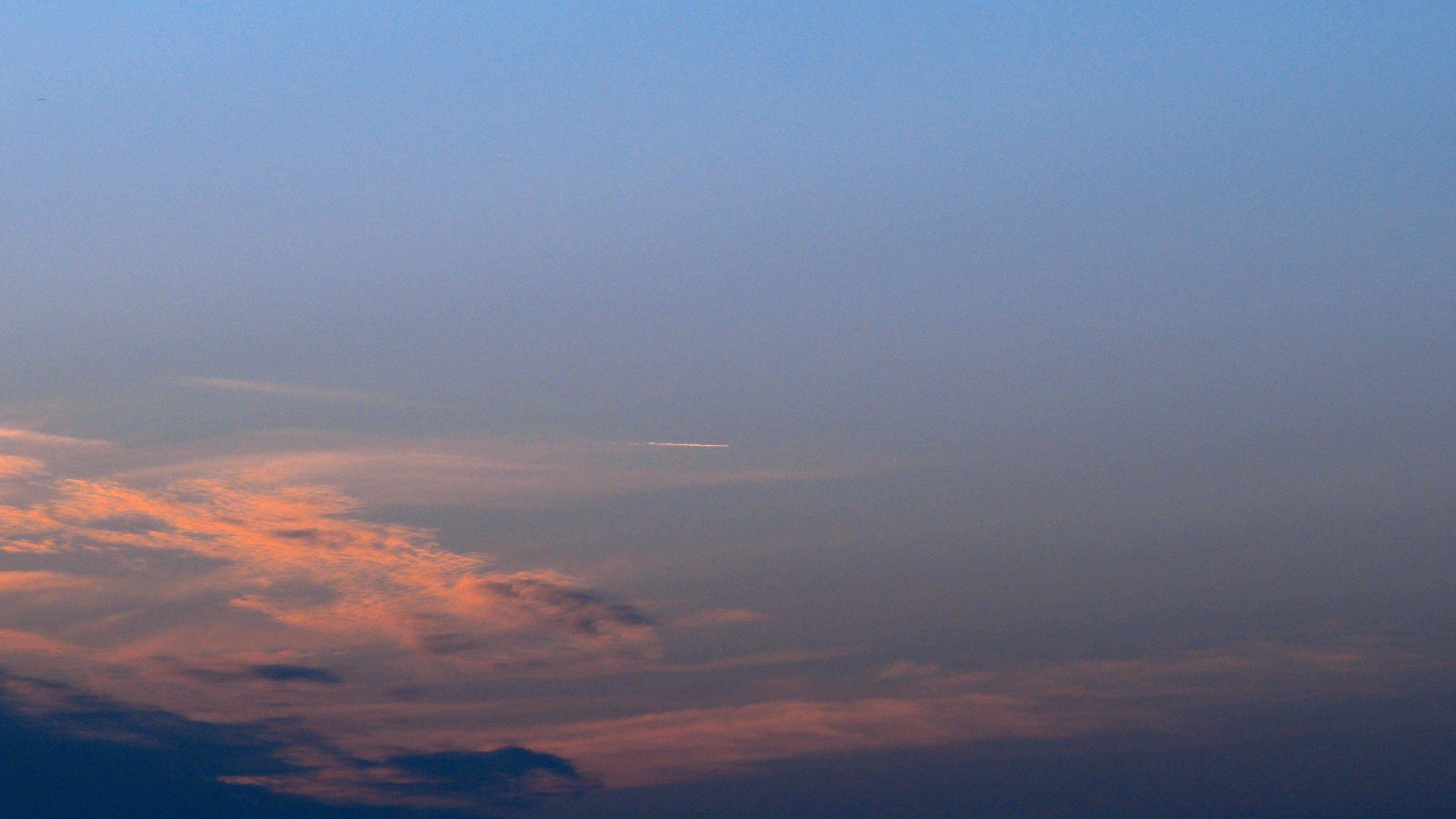 Paragliders