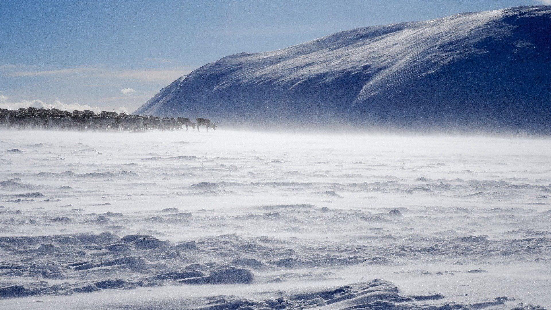 Terres sauvages du Grand Nord