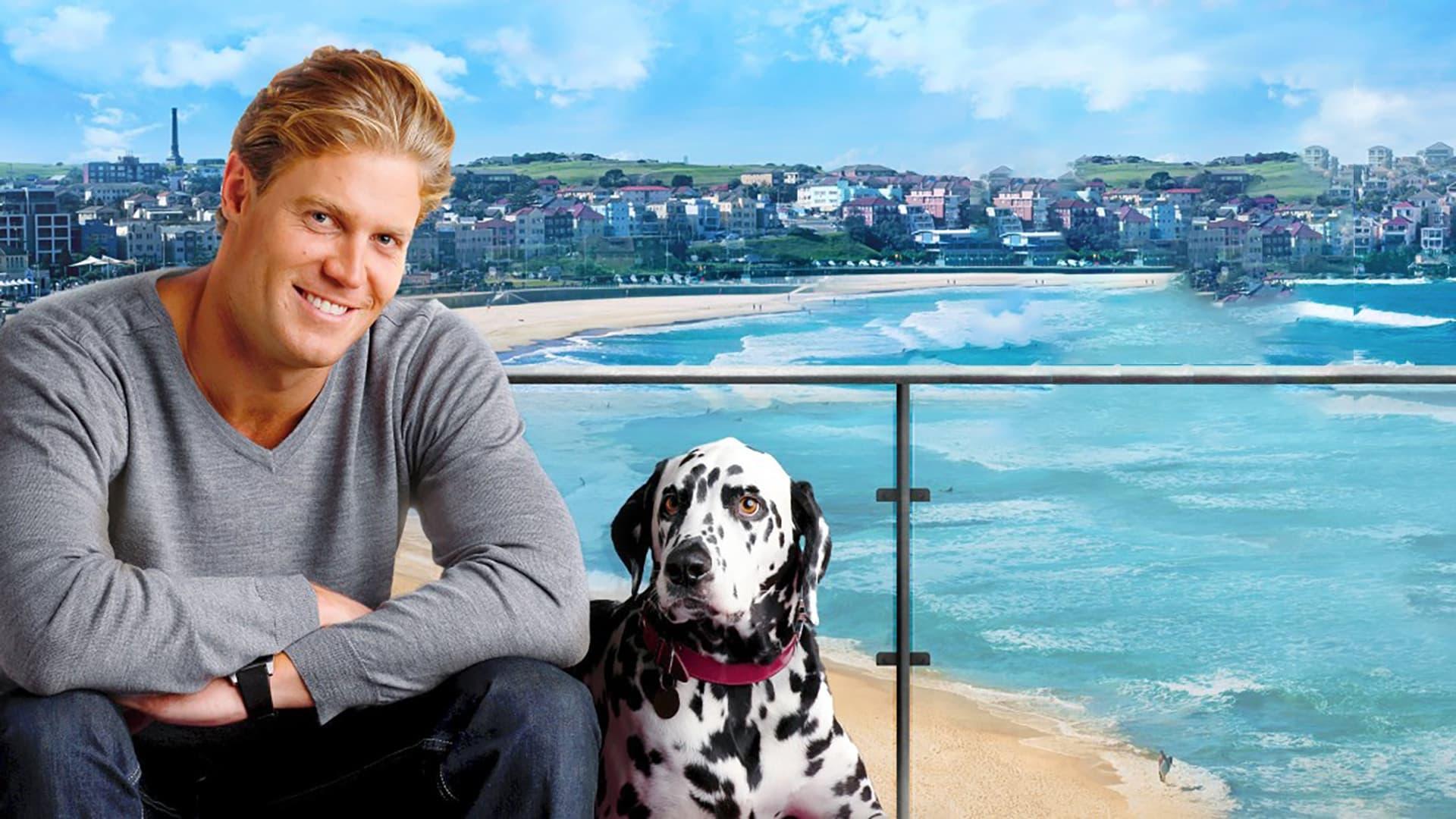 Bondi Vet