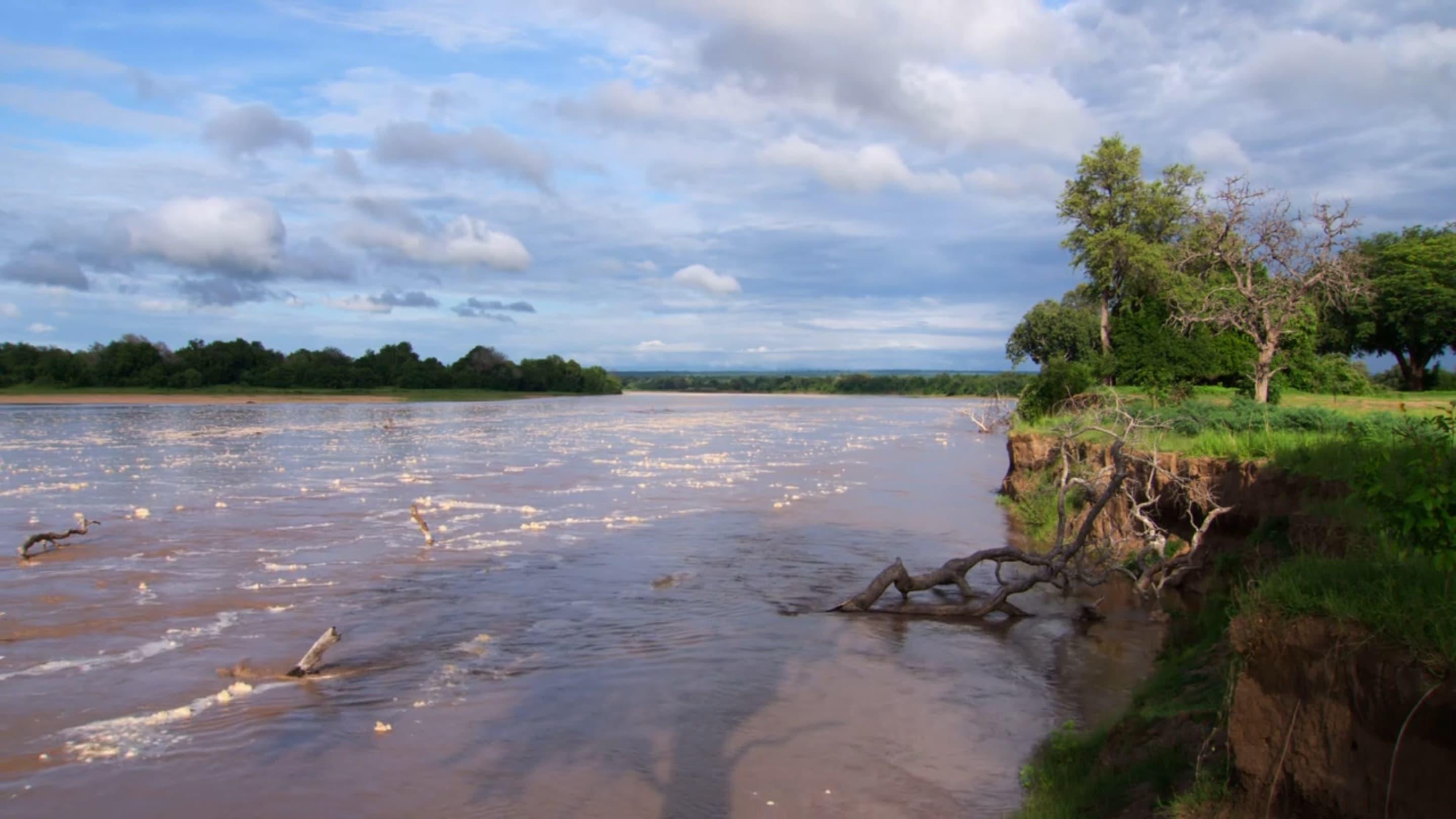 Africa River Wild