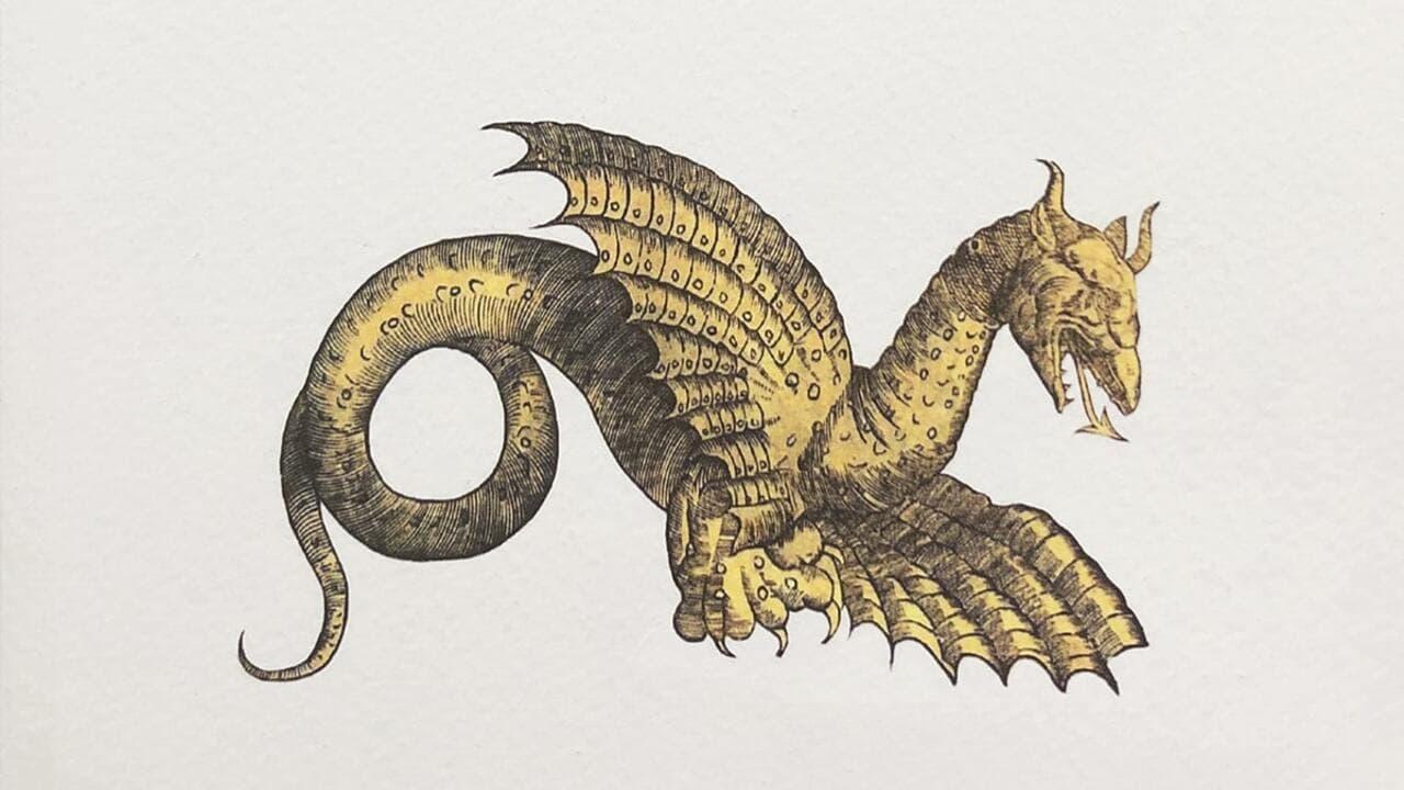 Draconis. La Storia del Drago di Rimini