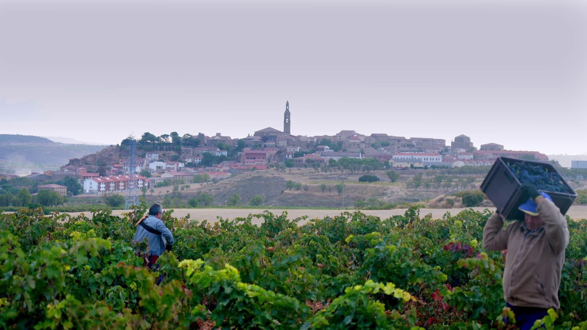 Rioja: The Land of a Thousand Wines