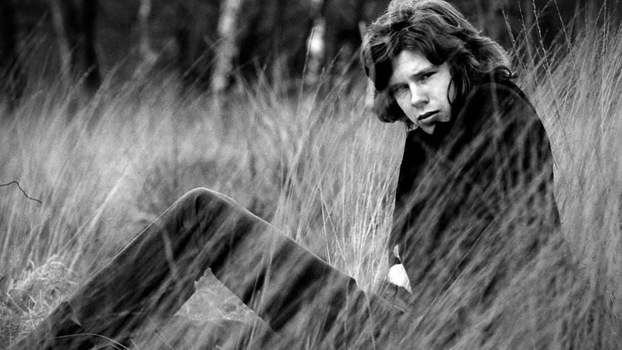 A Skin Too Few: The Days of Nick Drake