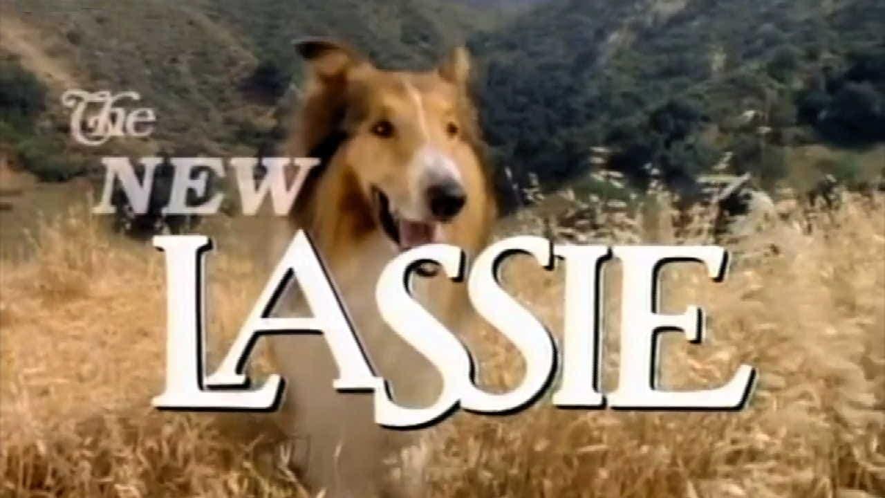 The New Lassie