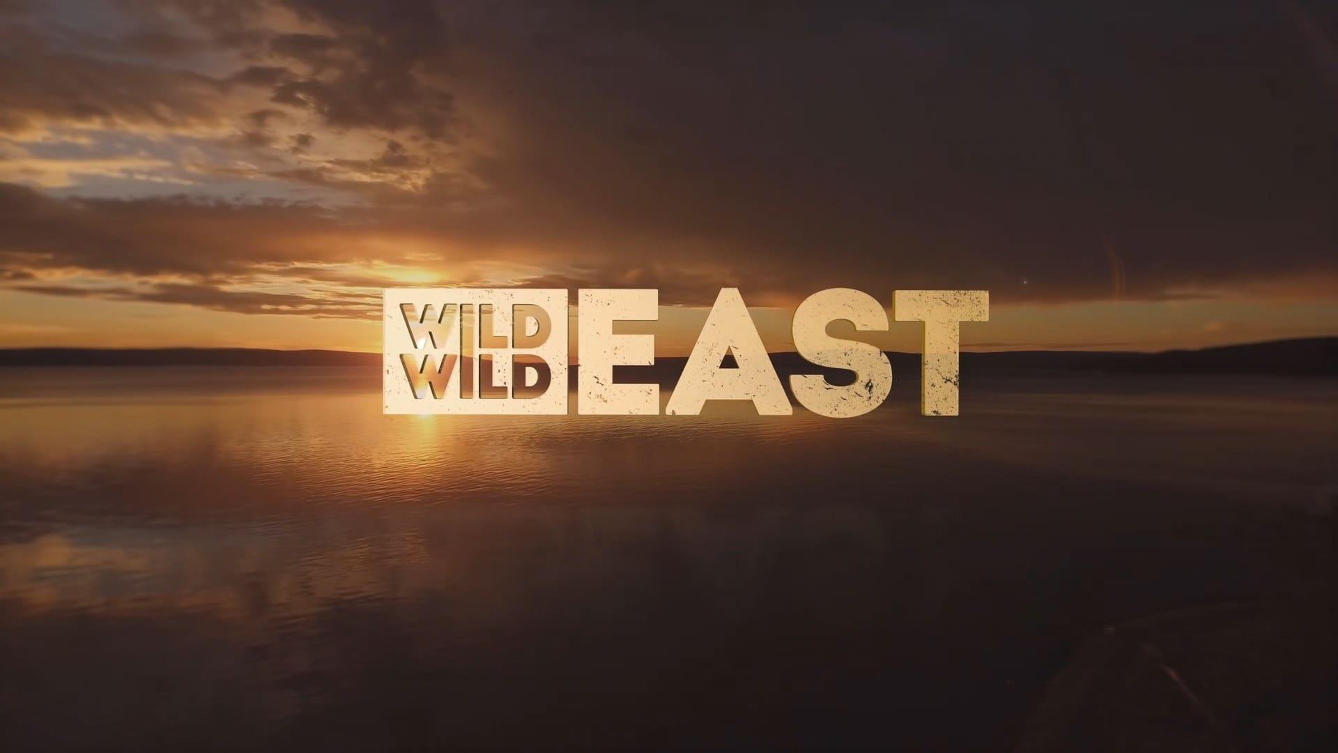 Wild Wild East