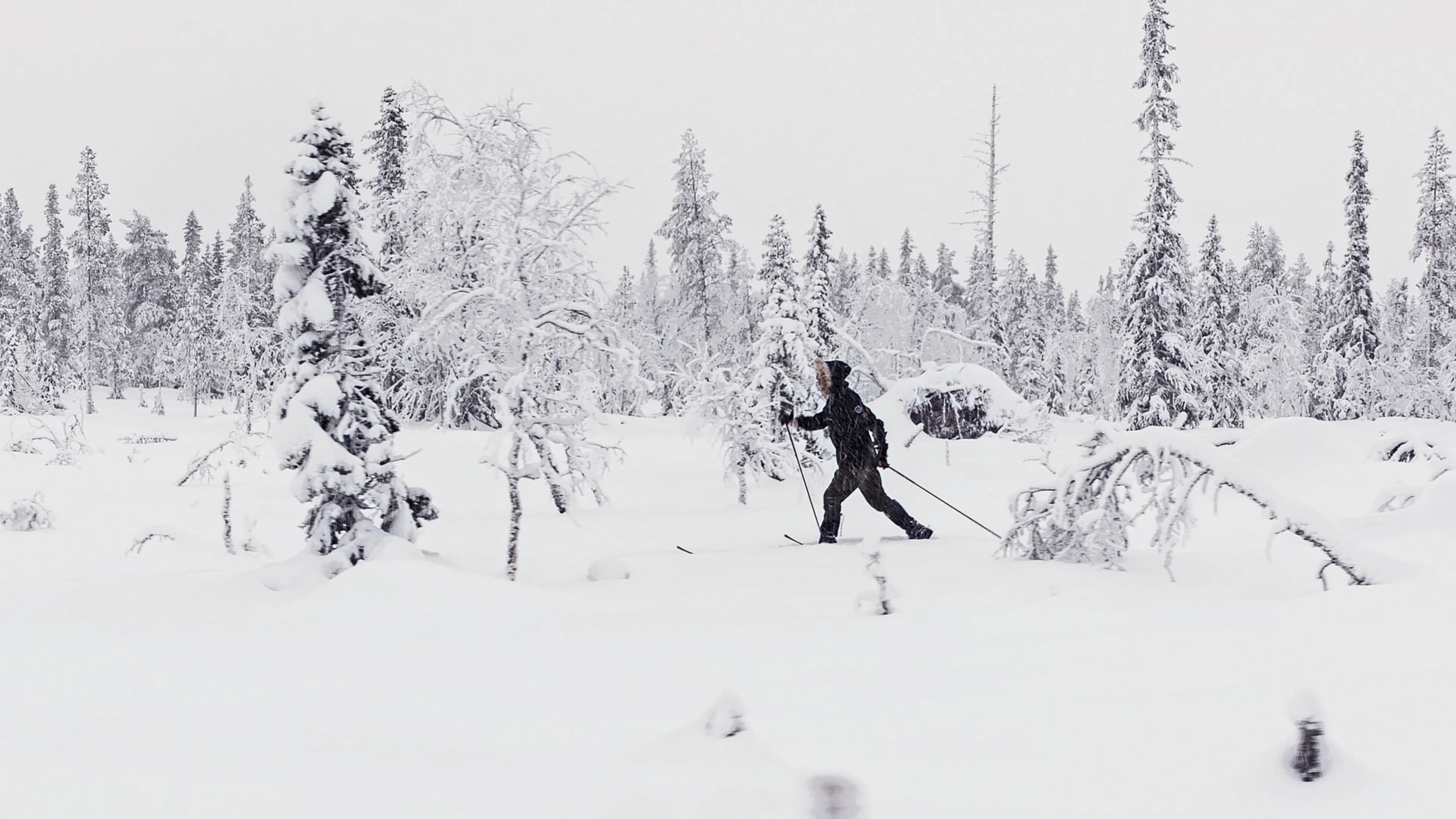 Att bäras av snö