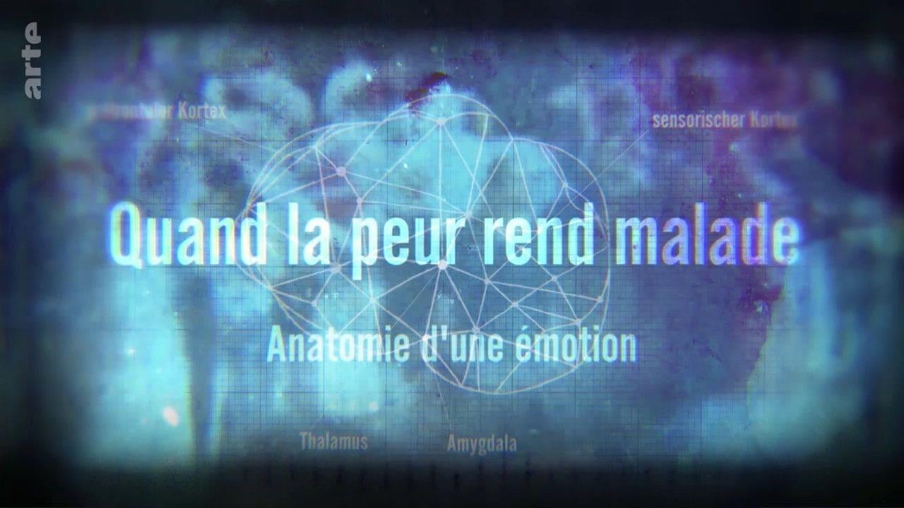 Quand la peur rend malade - Anatomie d'une émotion