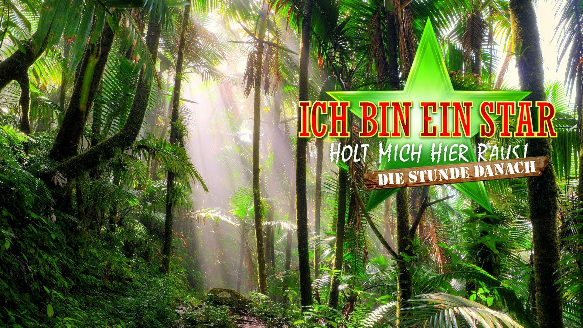 Ich bin ein Star – Die Stunde danach