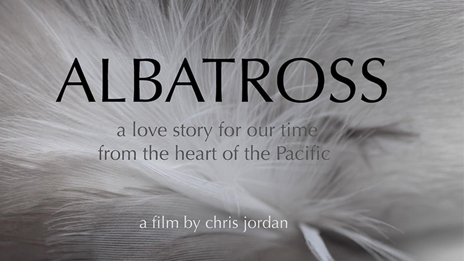 Albatross