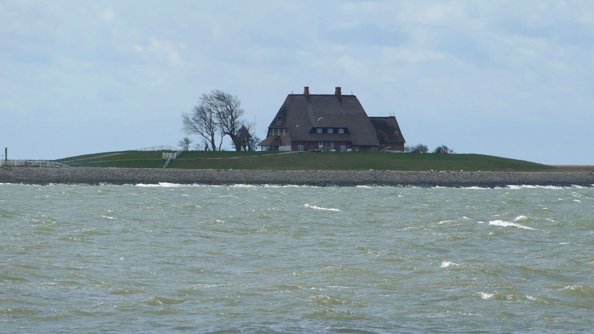 Die Halligen im Wattenmeer