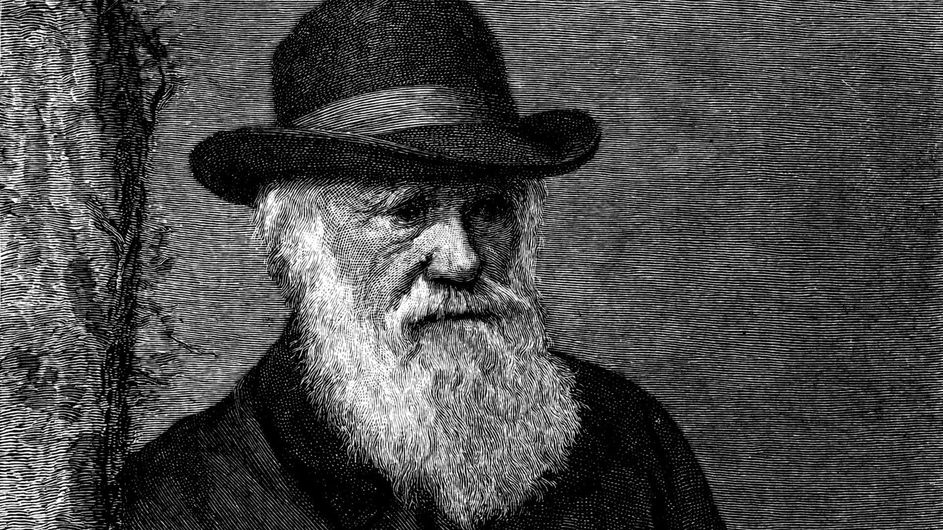 The Genius of Charles Darwin