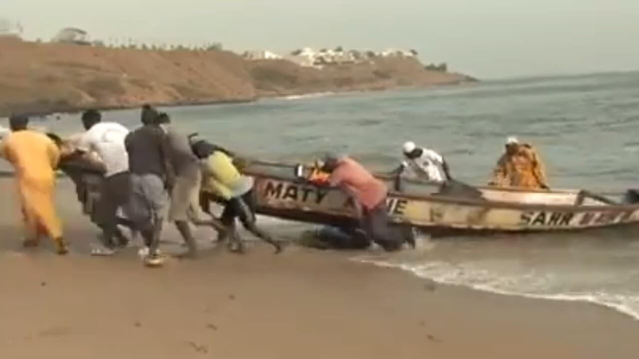 Halte au Massacre du Littoral