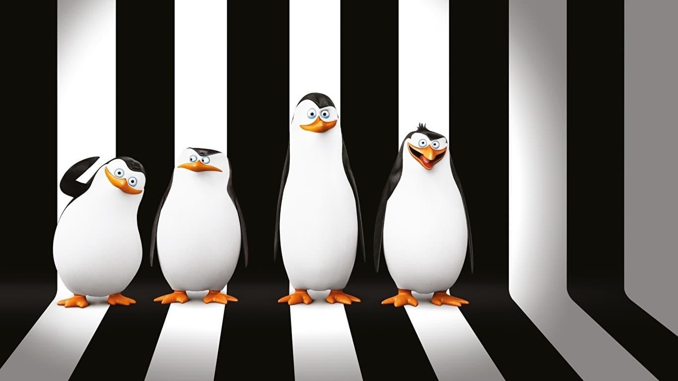 The Penguins of Madagascar: Operation Search and Rescue