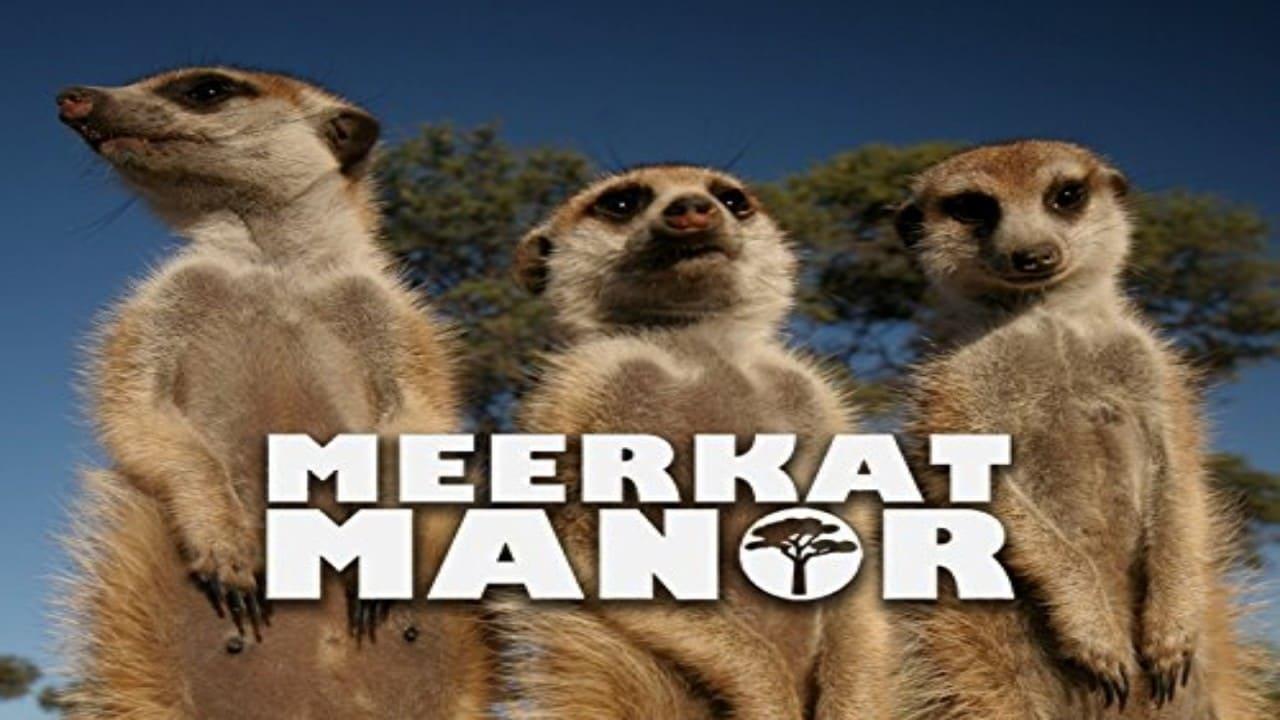 Meerkat Manor