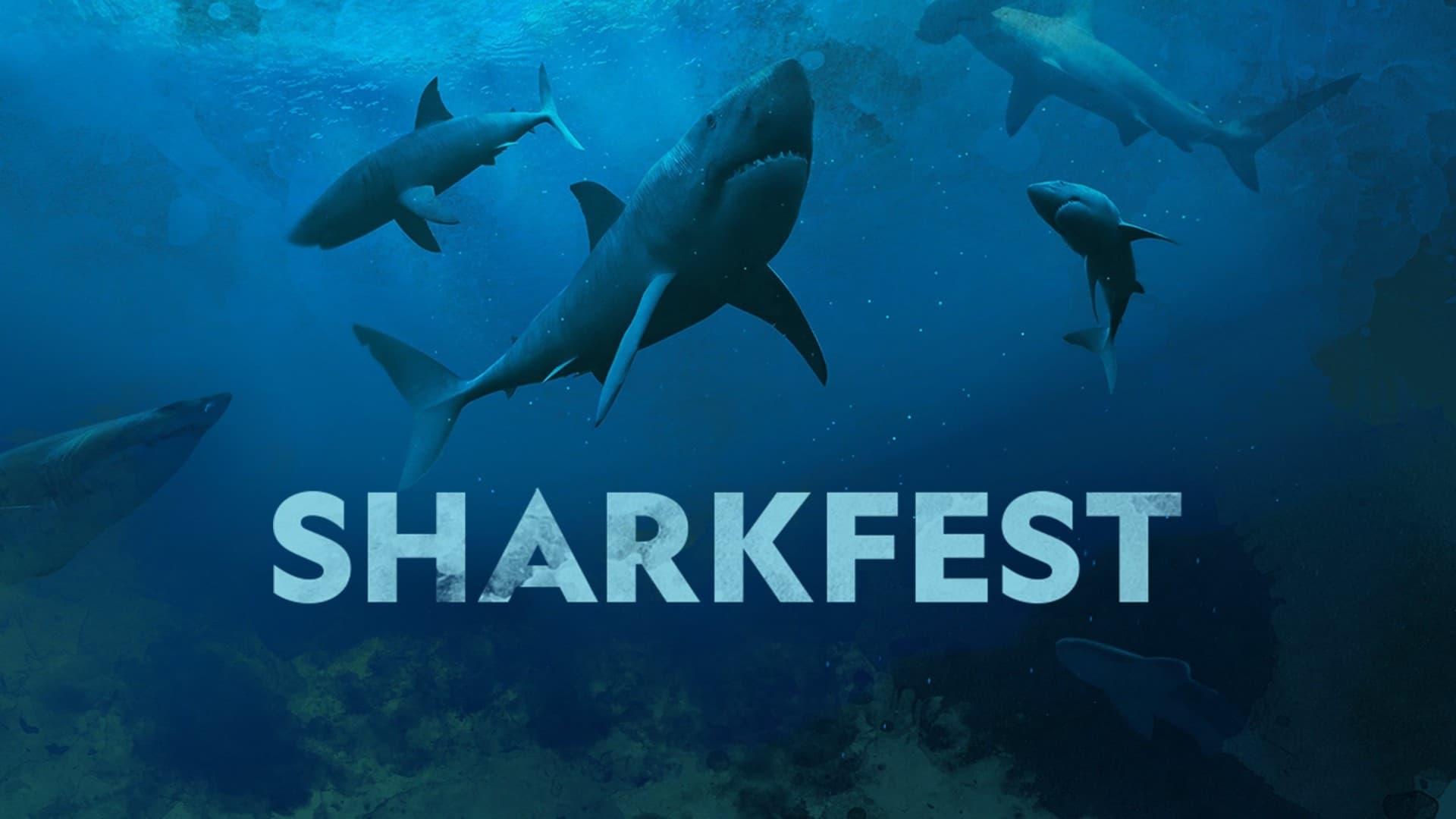 Sharkfest