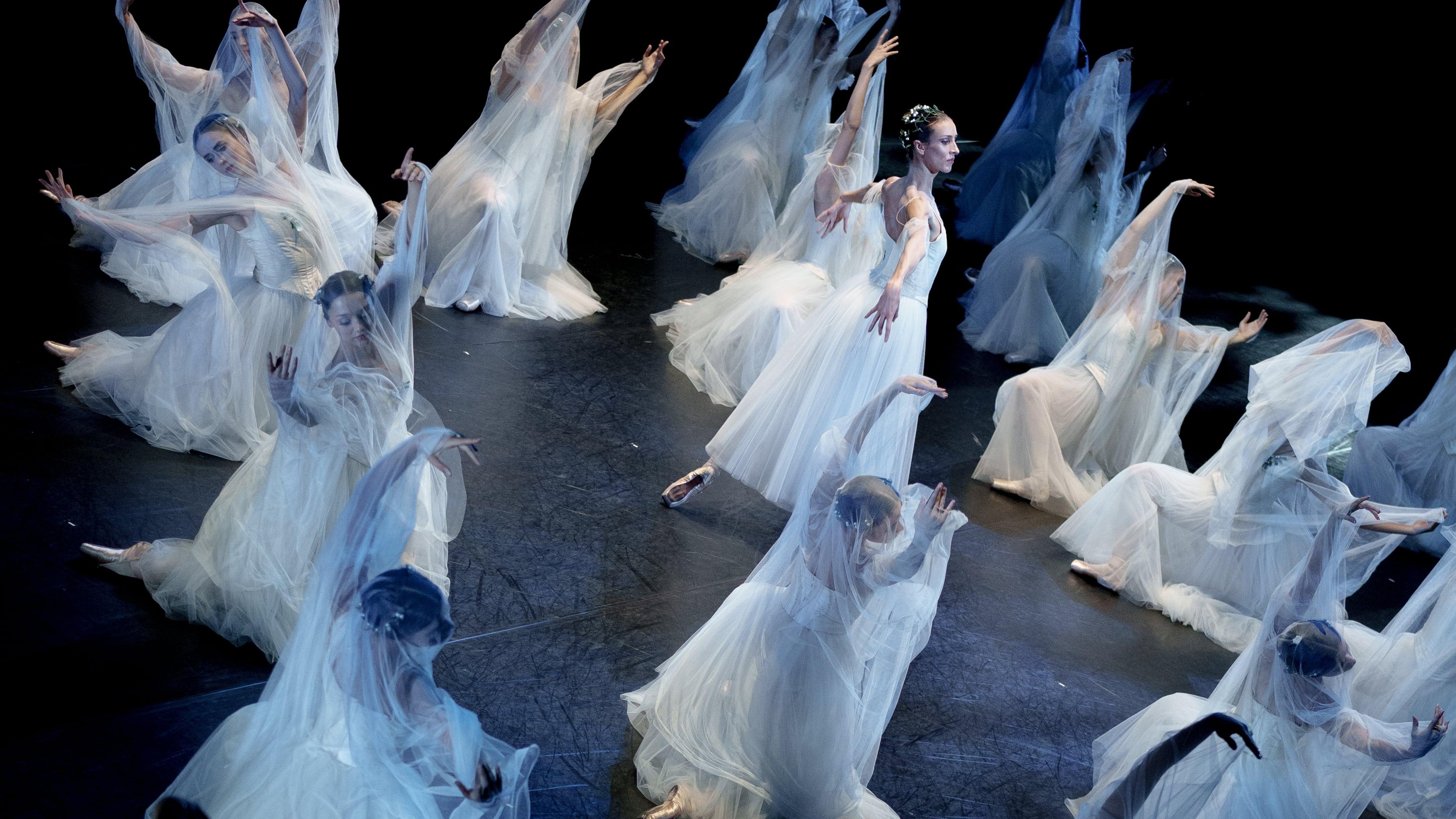 Giselle: Ballet in Cinema