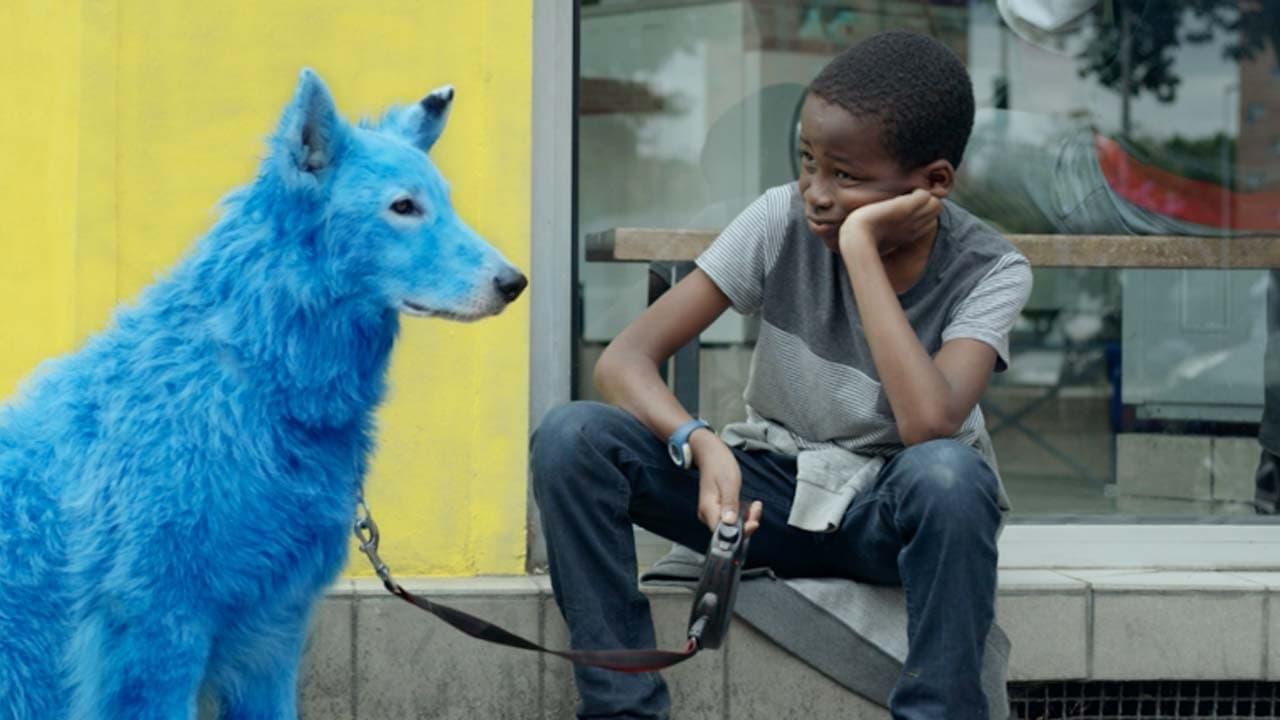 Blue Dog