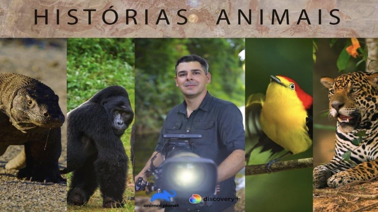 Histórias de Animais