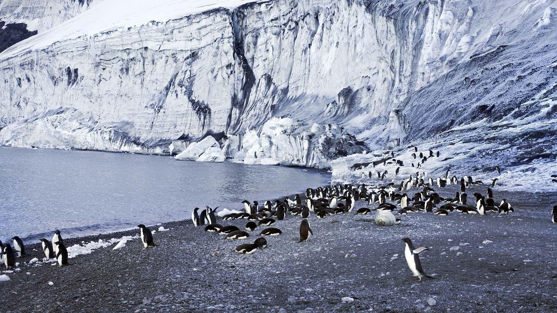 Antarctica: The Frozen Time