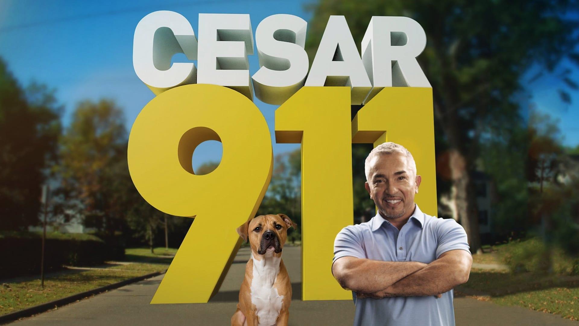 Cesar 911