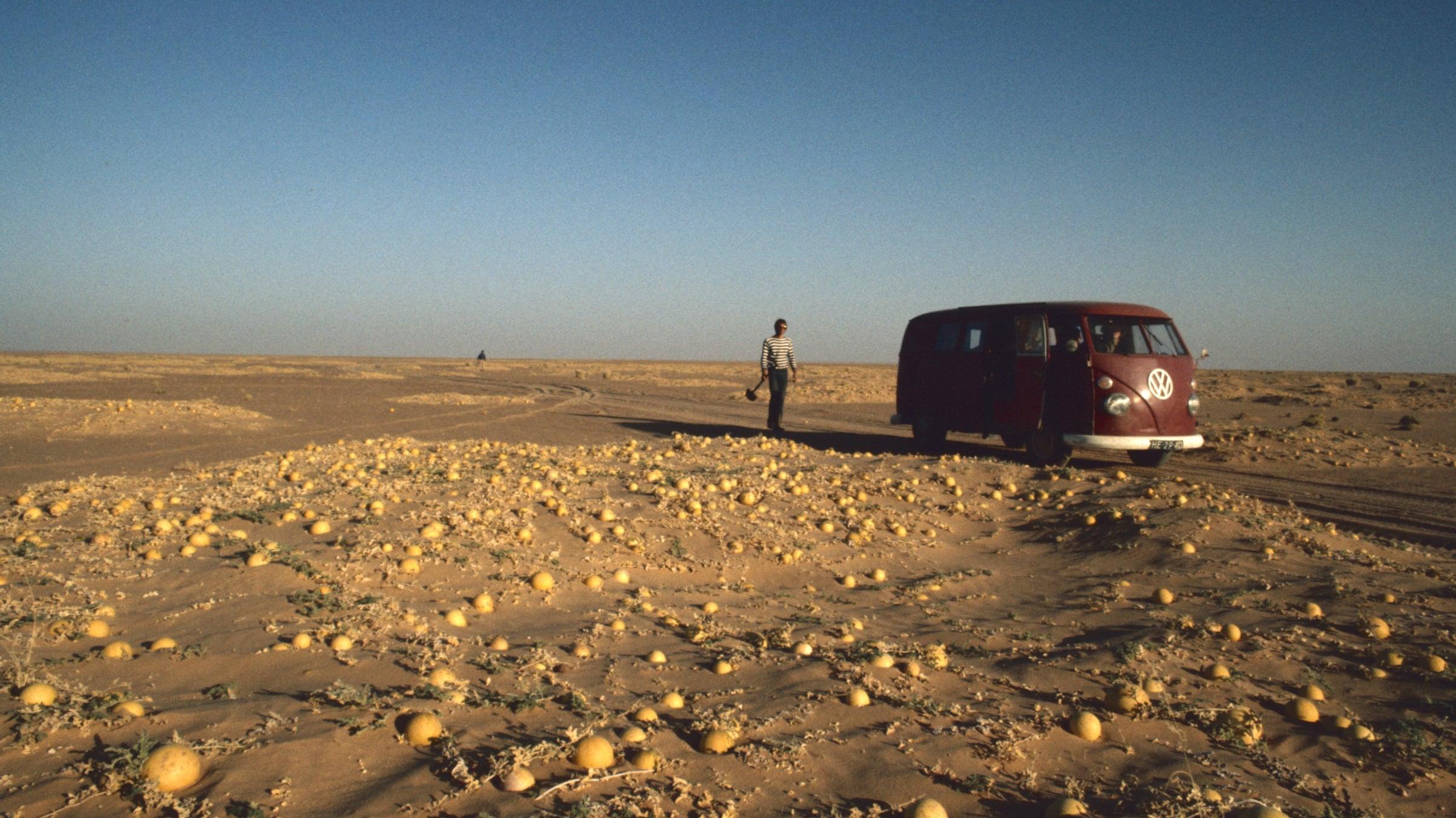 Hitchhiking to the Edge of Sanity