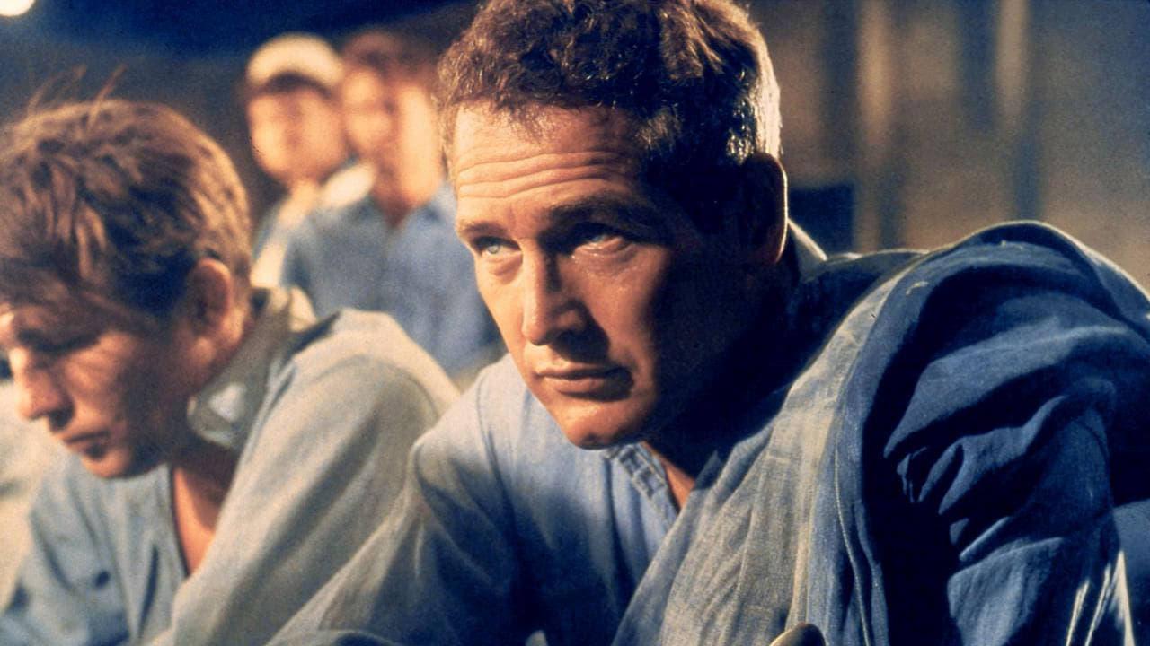 Paul Newman: The Restless