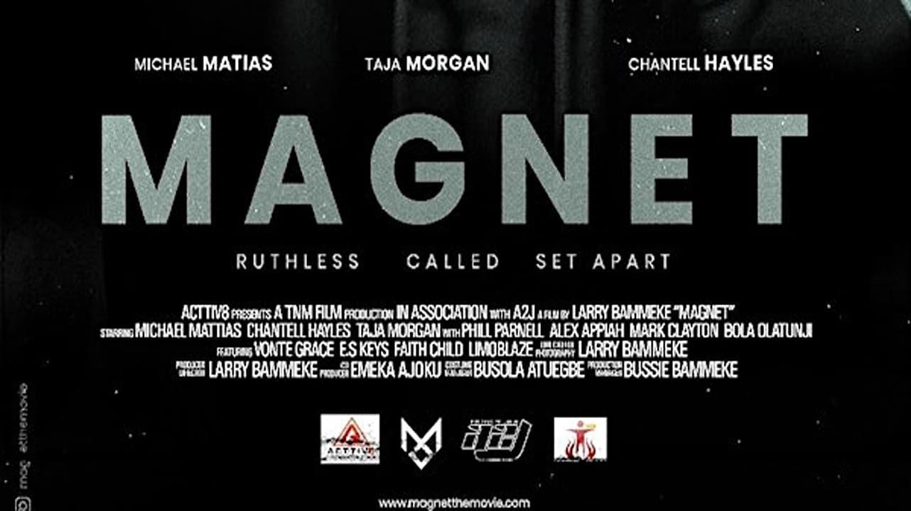 Magnet