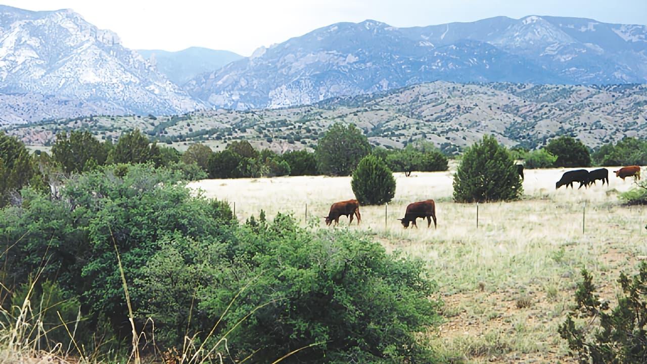 Whose Home on the Range?