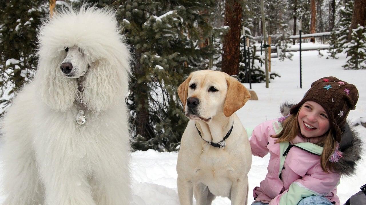 The Dog Who Saved Christmas