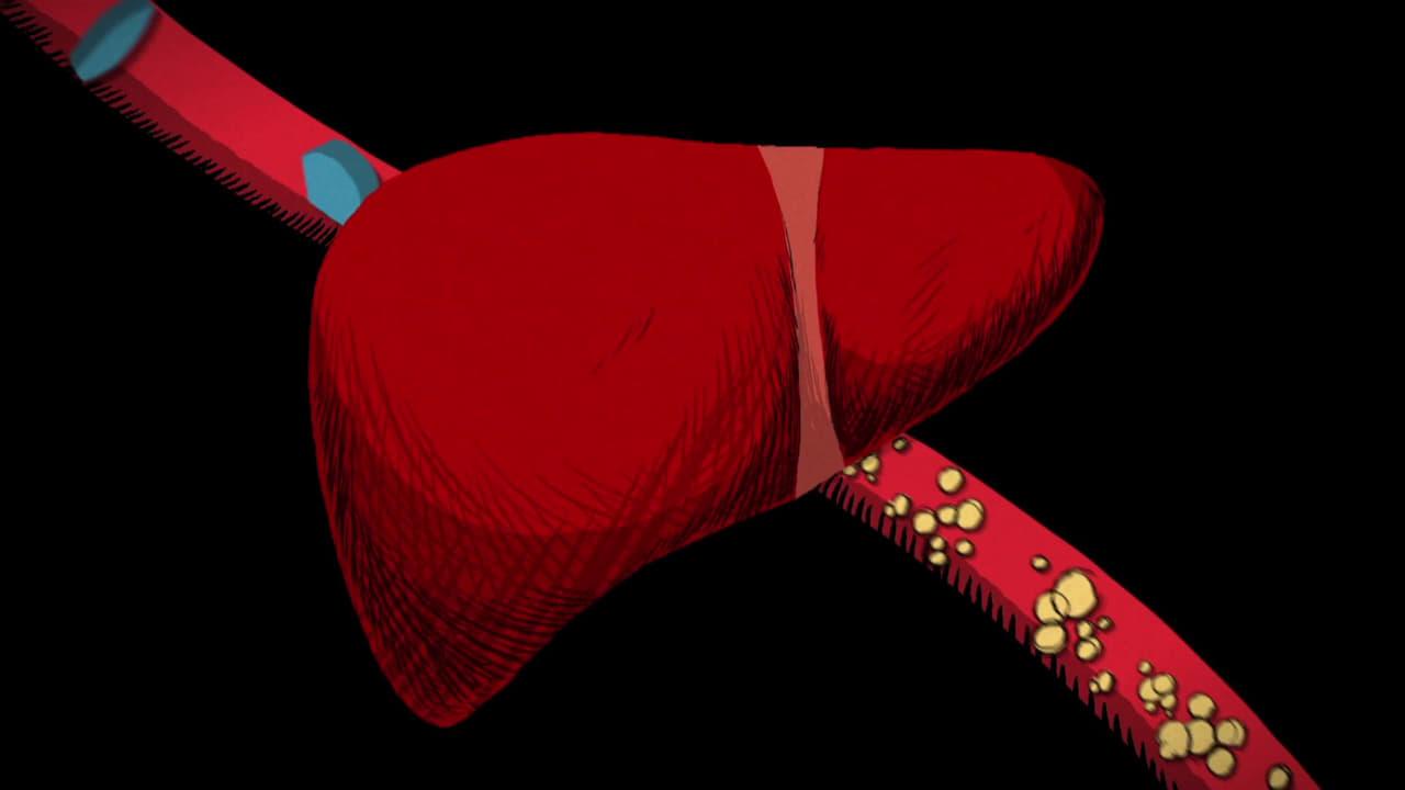 The Cholesterol Question