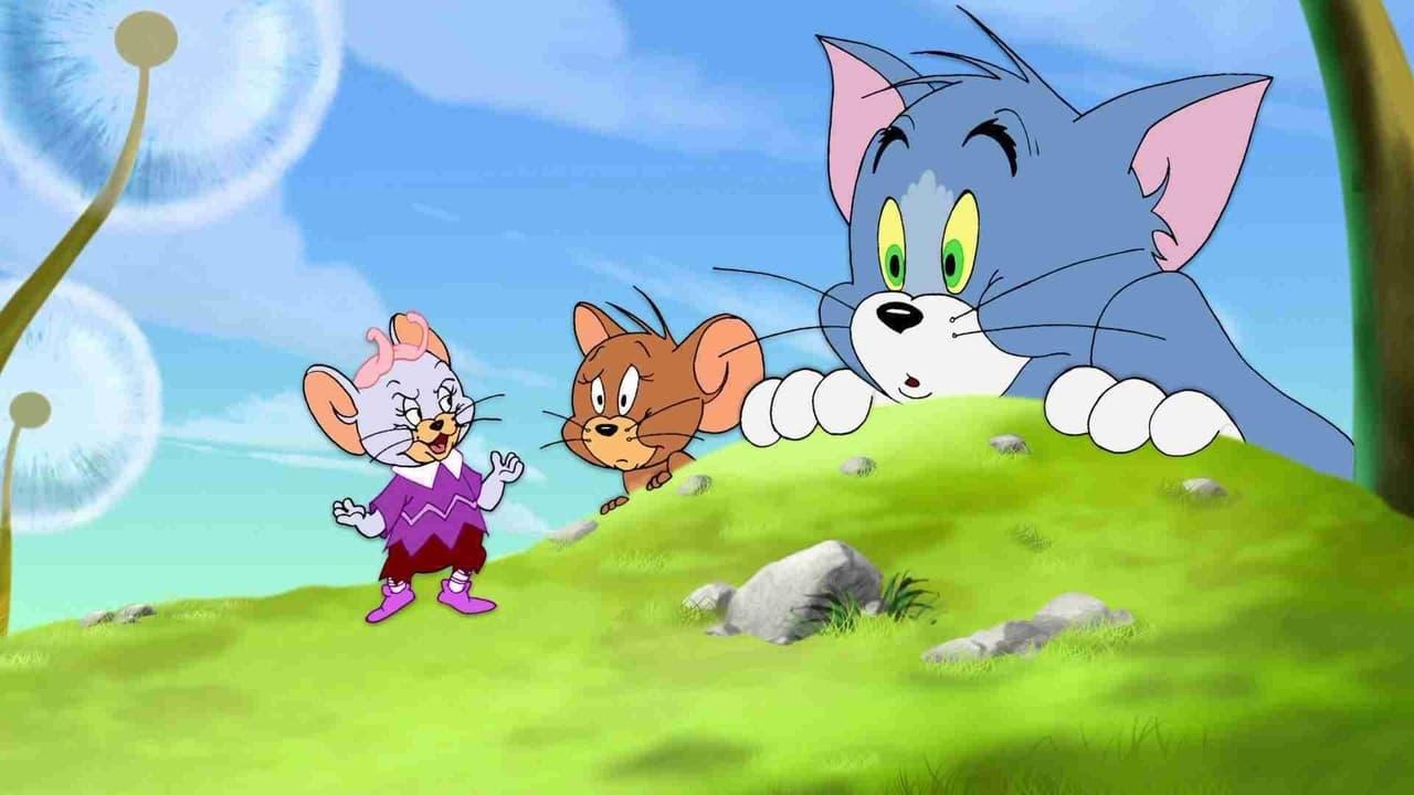 Tom and Jerry: The Classic Collection Volume 2