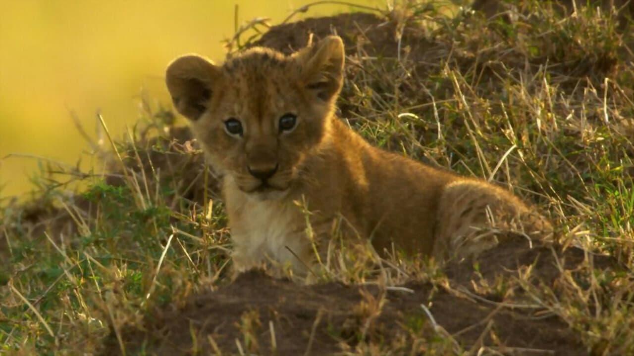 Peur sur la savane