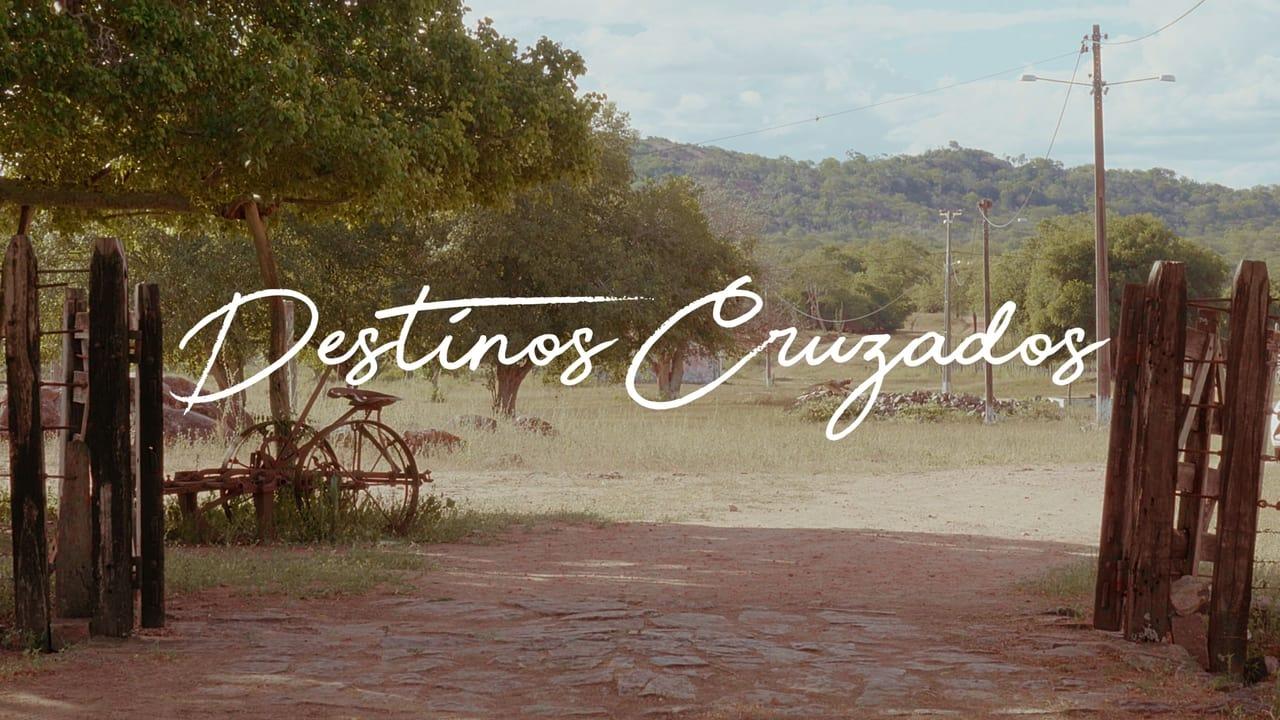 Destinos Cruzados