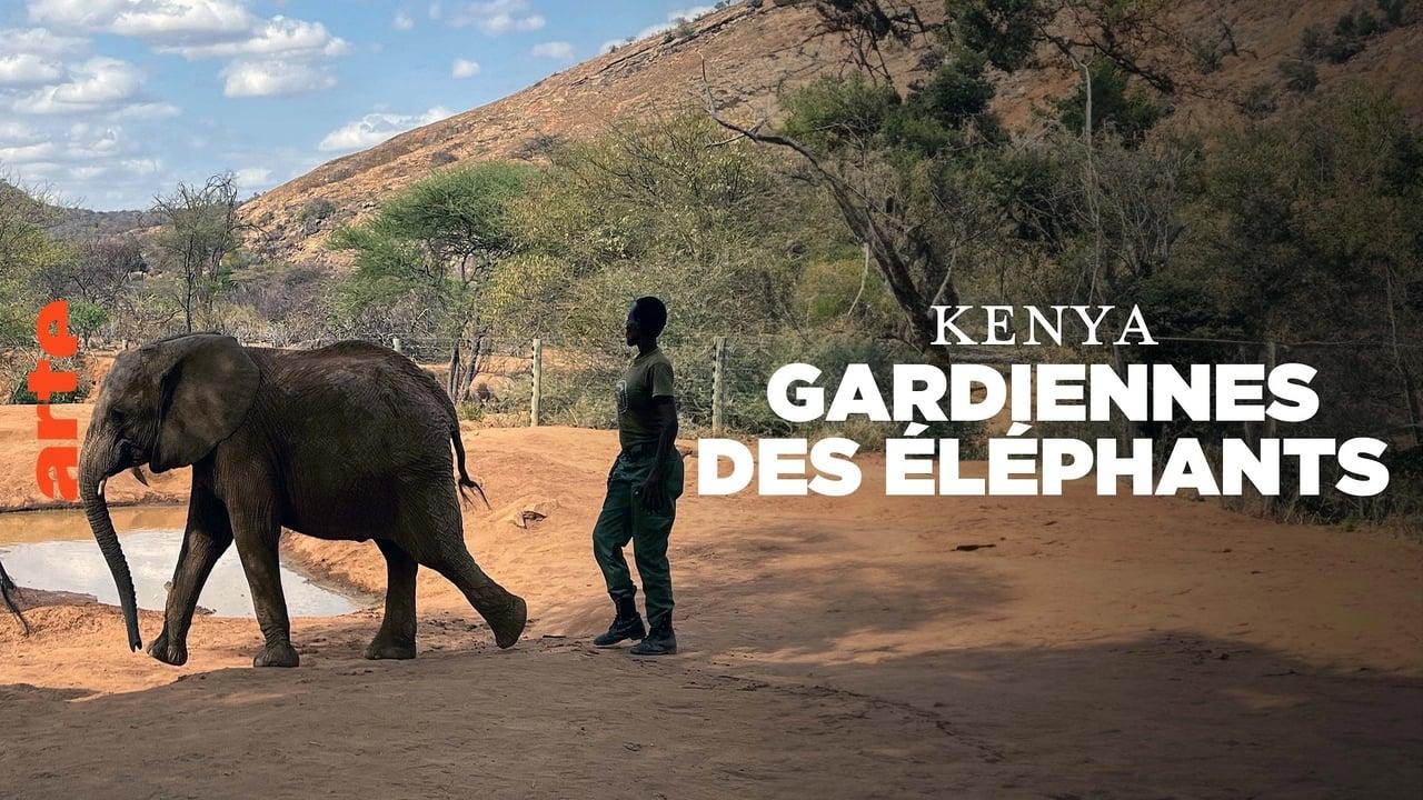 Kenya - Gardiennes des éléphants