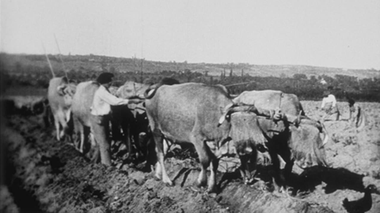 Ploughing