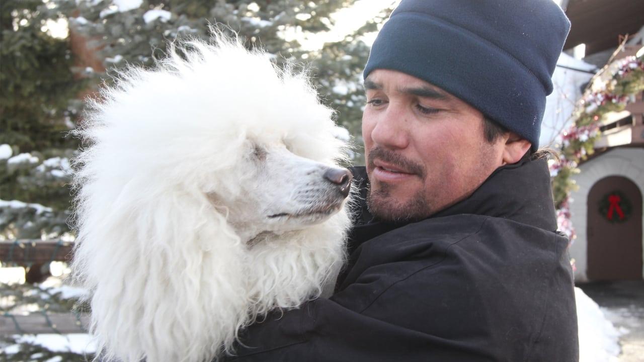 The Dog Who Saved Christmas Vacation