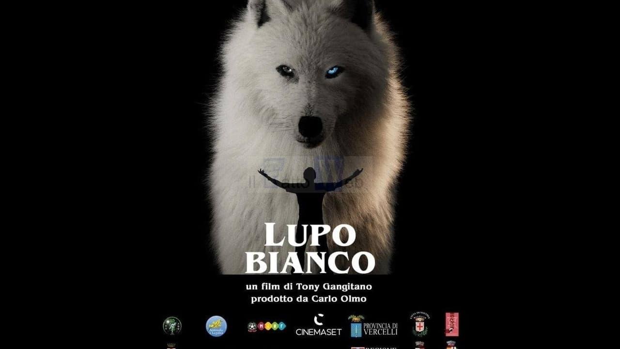 Lupo bianco