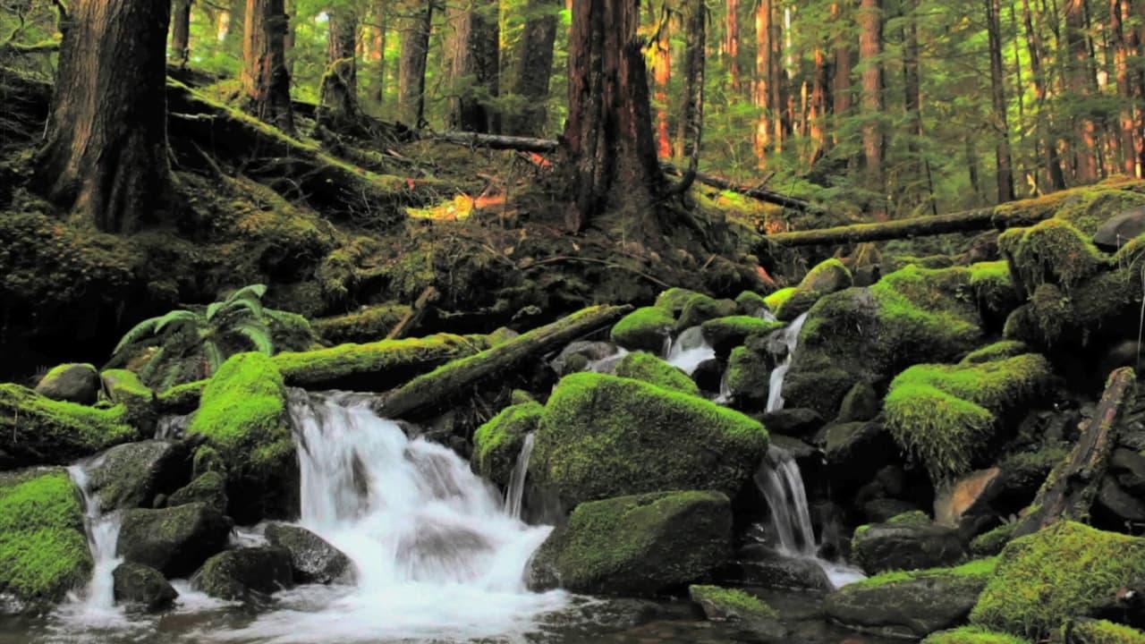 BluScenes: Majestic Waterfalls