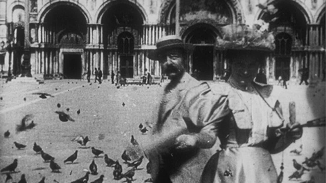 Pigeons sur la place Saint-Marc