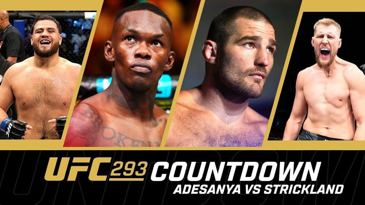 UFC 293 Countdown